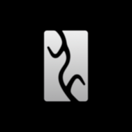 仰望汽车app手机版 