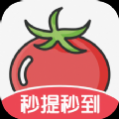 番茄畅看最新版 番茄畅看最新版