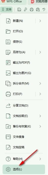 《WPS》开启自动提出更正建议功能的方法详细介绍