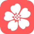 樱花视频编辑 樱花视频编辑