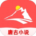 唐古小说手机版