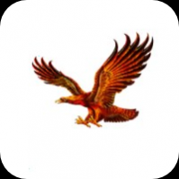 雄鹰直播2024最新版 