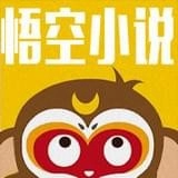 悟空小说网页版入口 悟空小说网页版入口