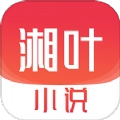 湘叶小说最新版