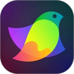 procreate下载正版免费华为平板
