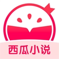 西瓜小说书源版 西瓜小说书源版