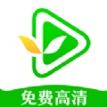 绿叶影视无广告版