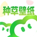 种草壁纸安卓版 种草壁纸安卓版