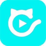 猫咪社区网视频在线观看 