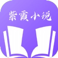 紫霞小说全文阅读免费