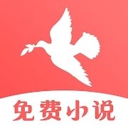 飞鸟免费小说免费版