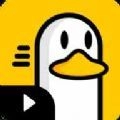胖鸭TV 胖鸭TV