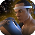 泰拳2格斗冲突 泰拳2格斗冲突