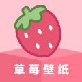 草莓壁纸大全 草莓壁纸大全