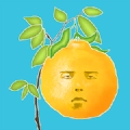 脸树 脸树