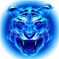 2019四虎影视最新免费版 2019四虎影视最新免费版